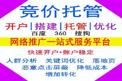 百度推广竞价全解析：某电商平台的营销策略